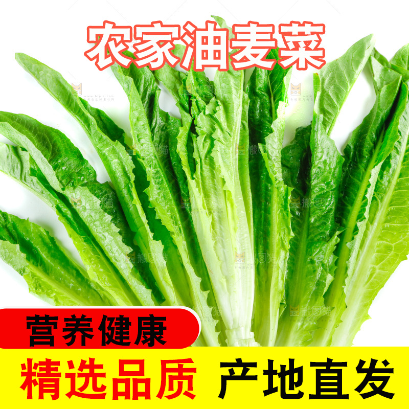 白底上放着油麦菜