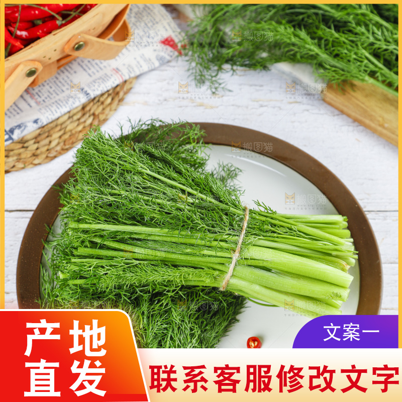 盘子里装着农家茴香菜