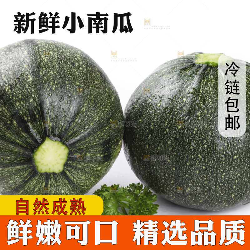 白底上摆放着花皮小南瓜