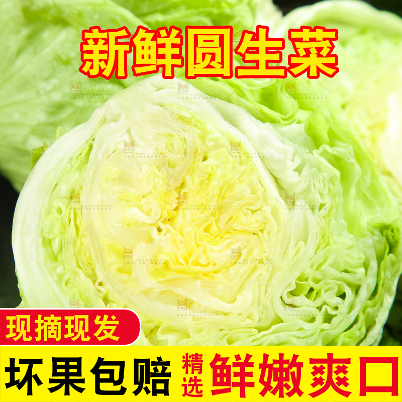 黑石板上放着圆生菜