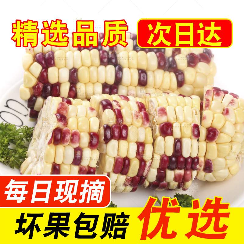 白底上放着一盘糯玉米