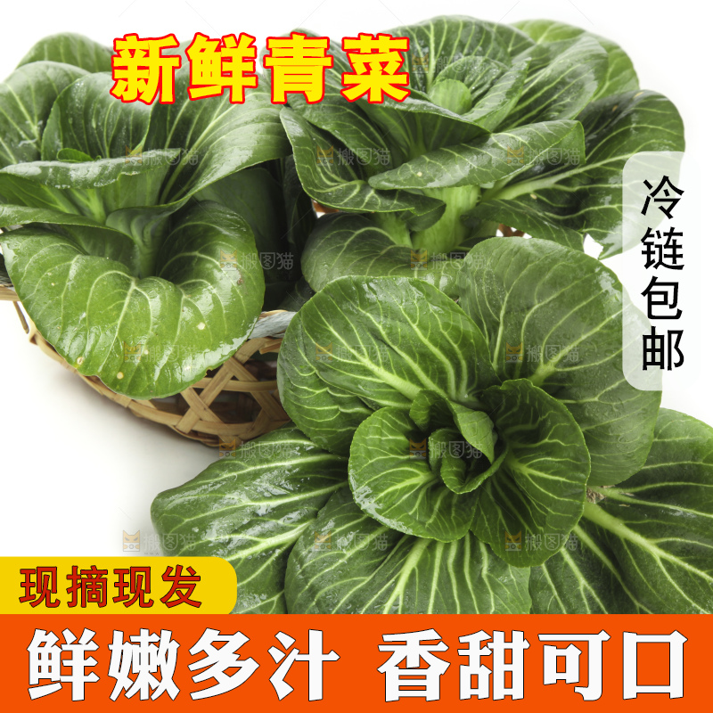白底上放着上海青