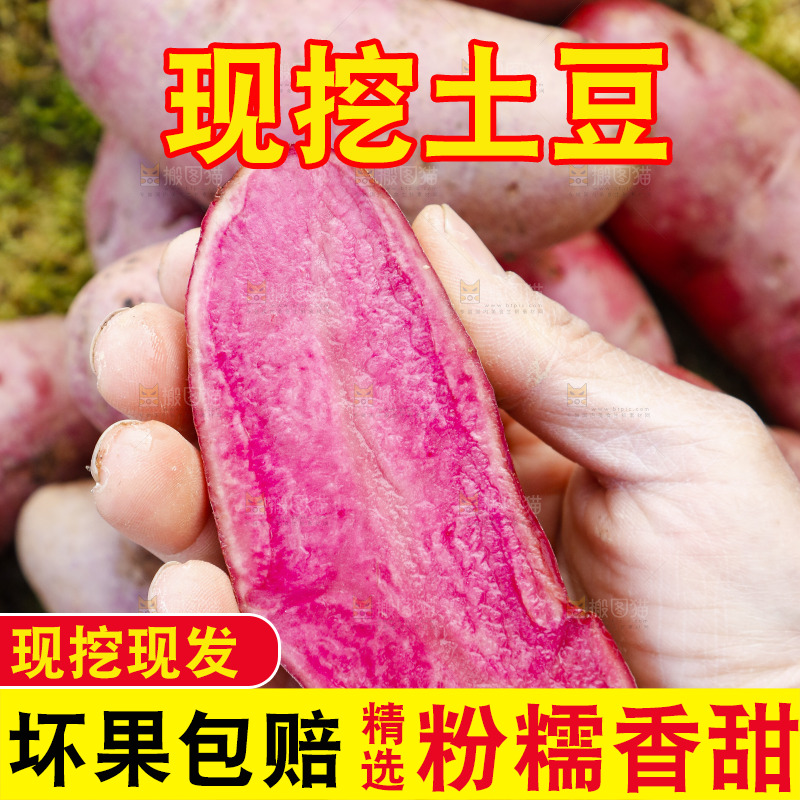 手里拿着新鲜红土豆