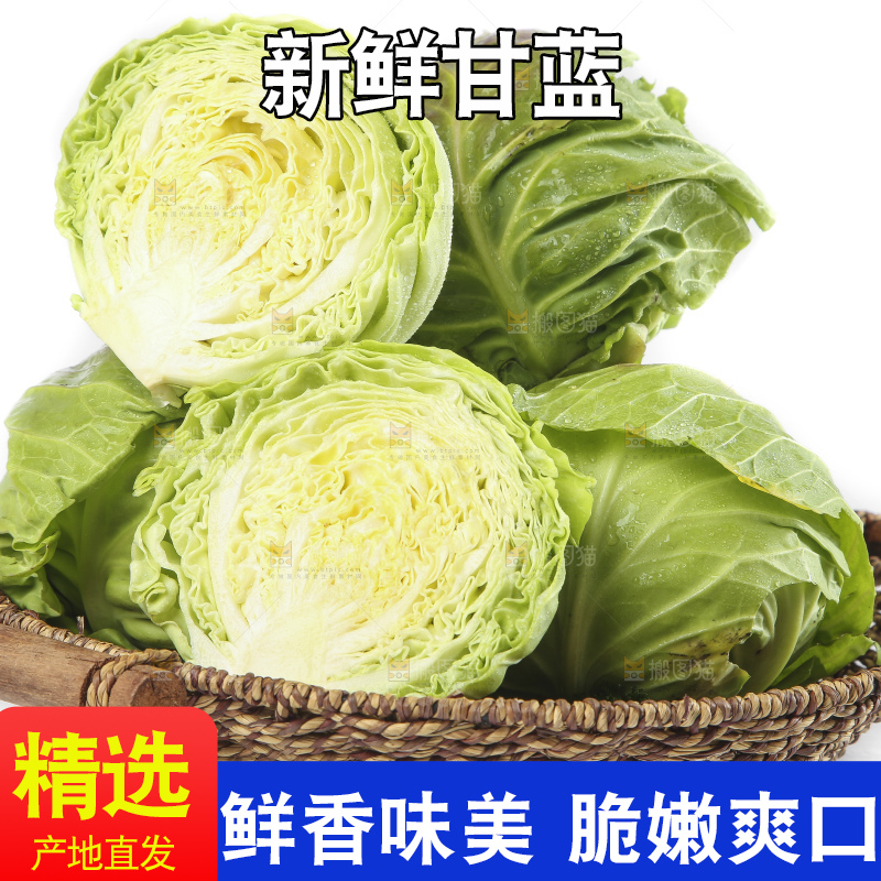 篮子里装着洋白菜