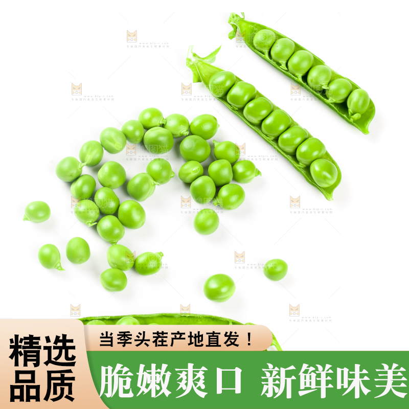 剥开的新鲜豌豆放在白底上