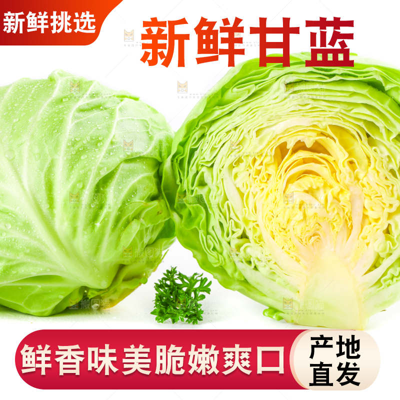 白底上摆放着包菜
