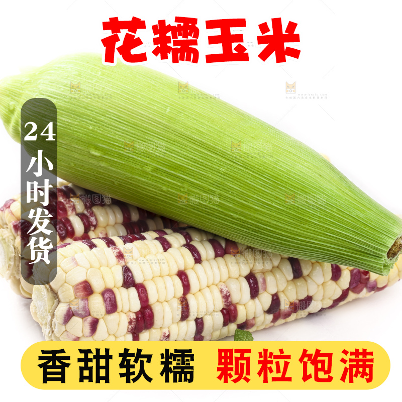 剥皮的花糯玉米放在白底上