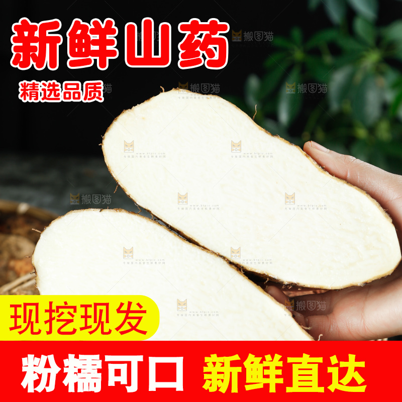 手里拿着糯米秤砣山药