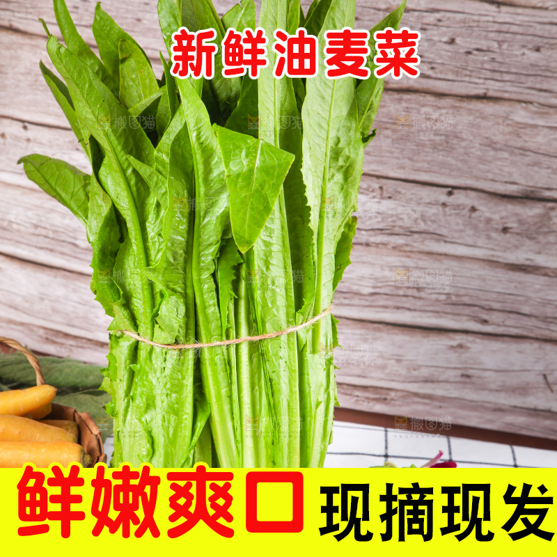 白格子底上放着新鲜油麦菜