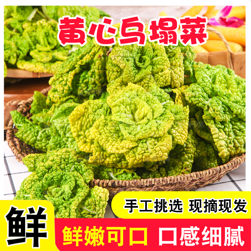 篮子里装着乌塌菜