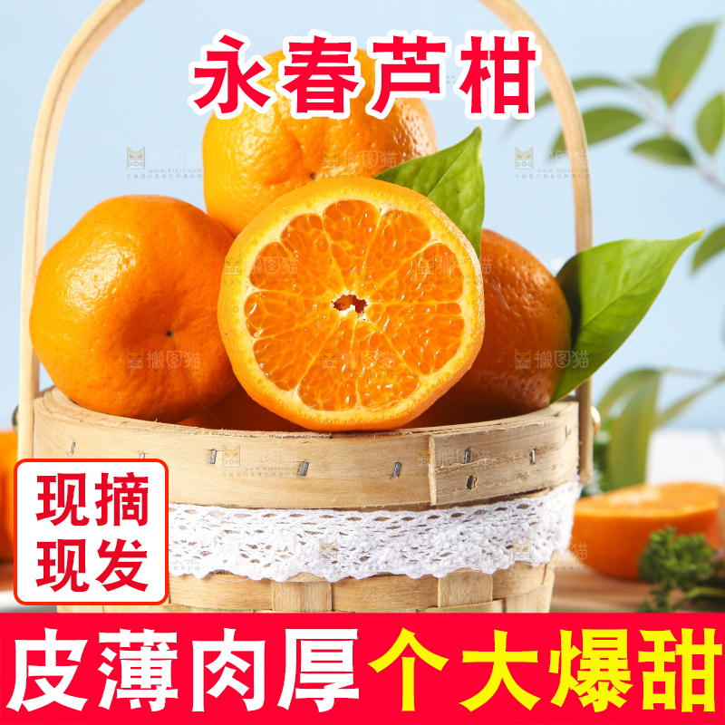 篮子里装着新鲜芦柑
