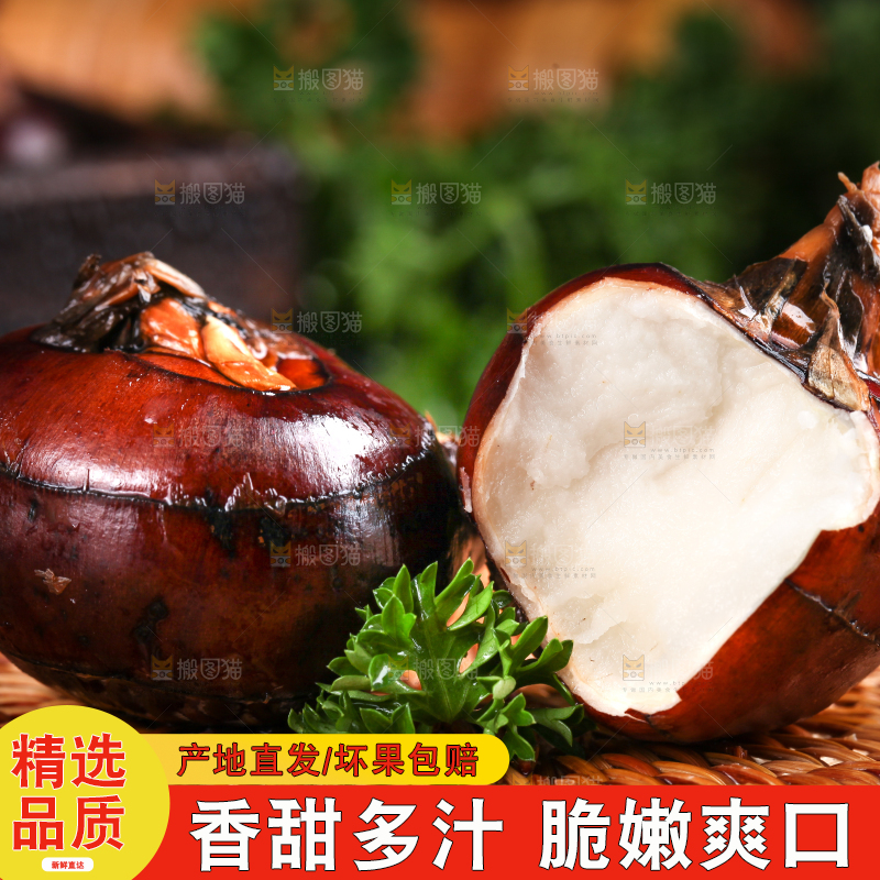 竹垫子上放着广西马蹄