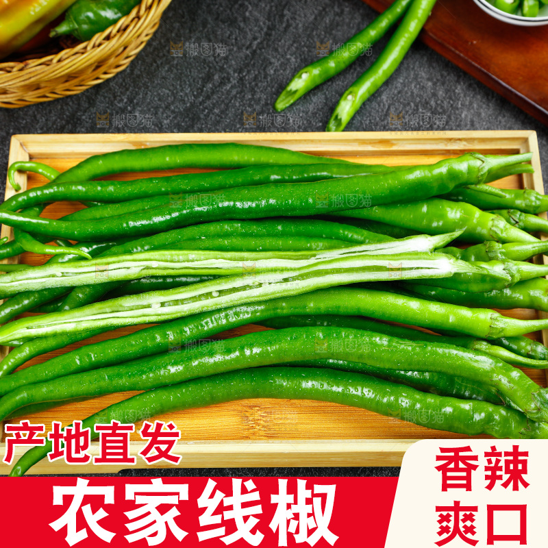 盘子里放着线椒