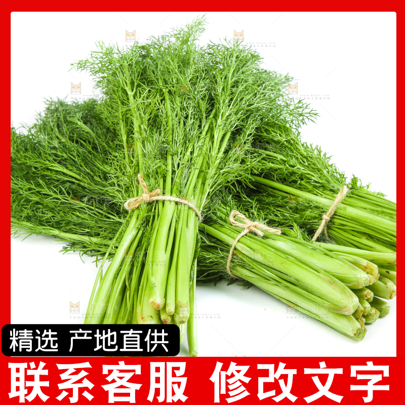 白底上放着小茴香