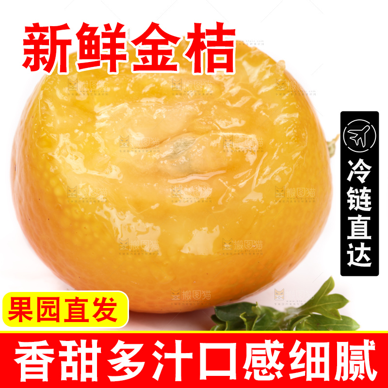 白底上的阳朔脆皮金桔