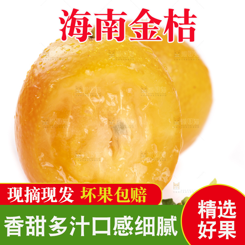 白底上的阳朔脆皮金桔