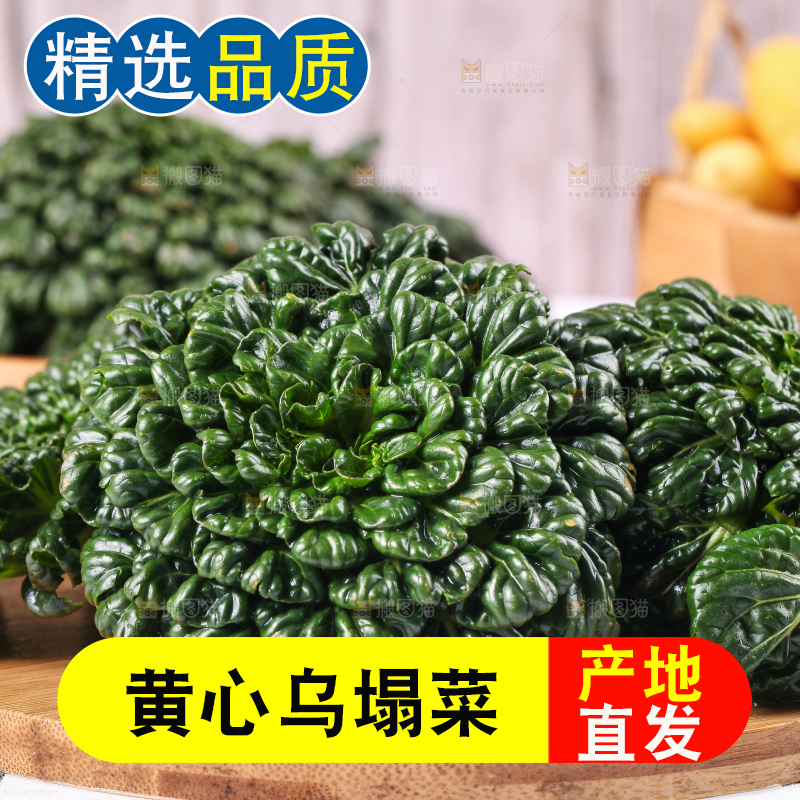 浅底上放着菊花菜
