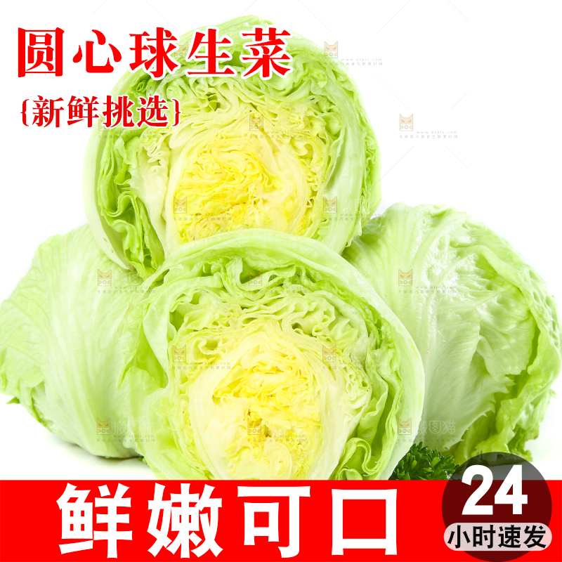 白底上的新鲜生菜