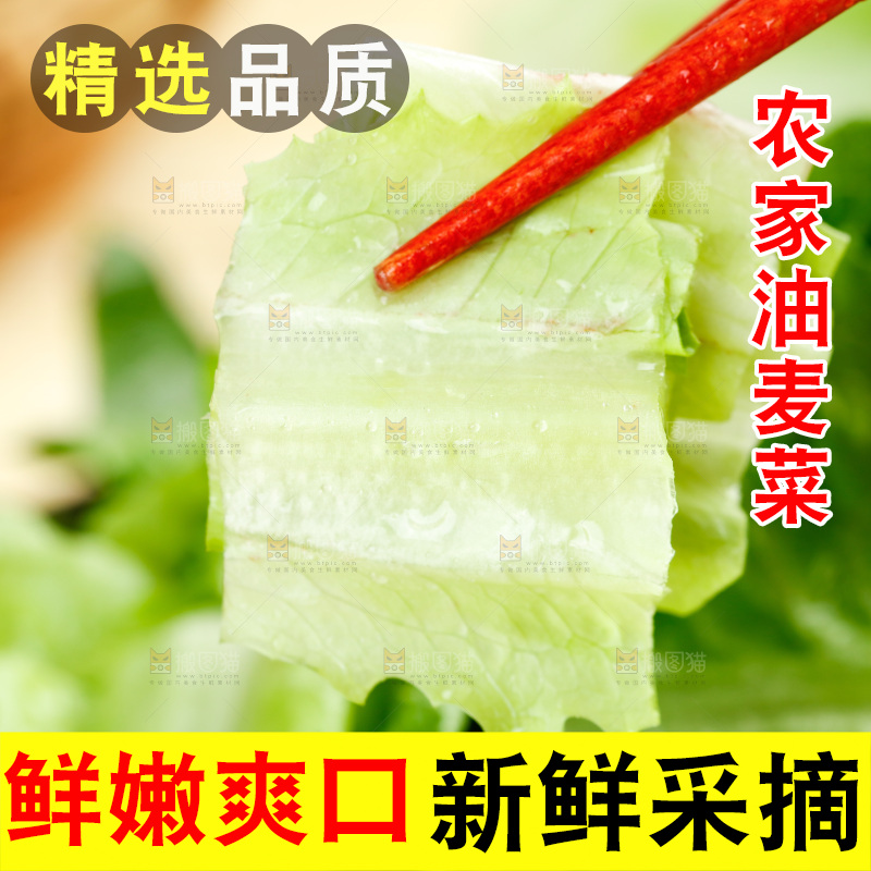 筷子上夹着新鲜油麦菜