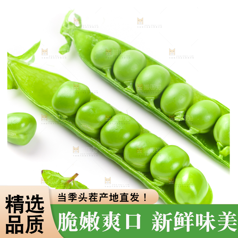 剥开的新鲜豌豆放在白底上
