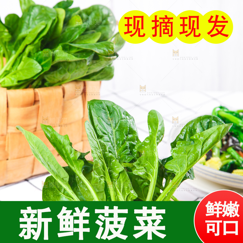 白格子底上的嫩菠菜