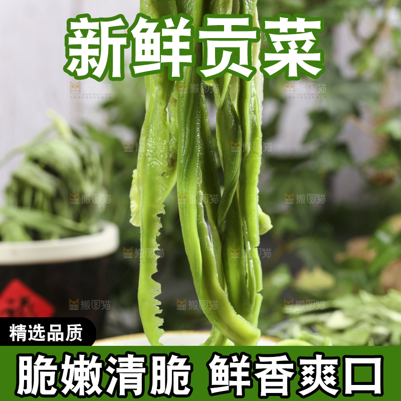 碗里的涡阳贡菜