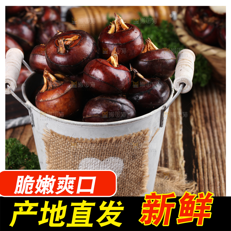 桶子里装着菩荠