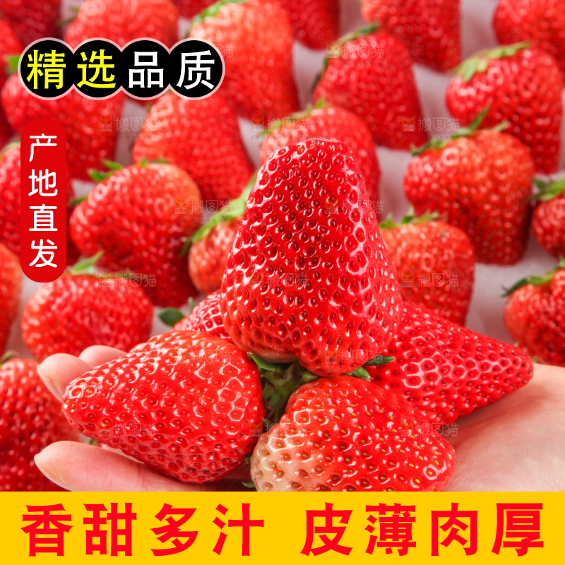 手里拿着新鲜草莓