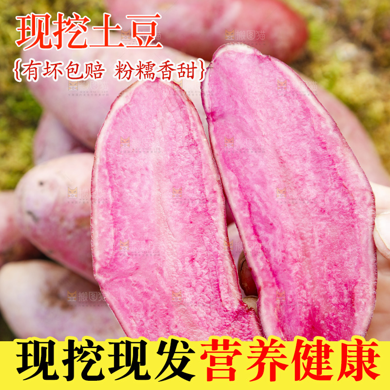 手里拿着新鲜红土豆