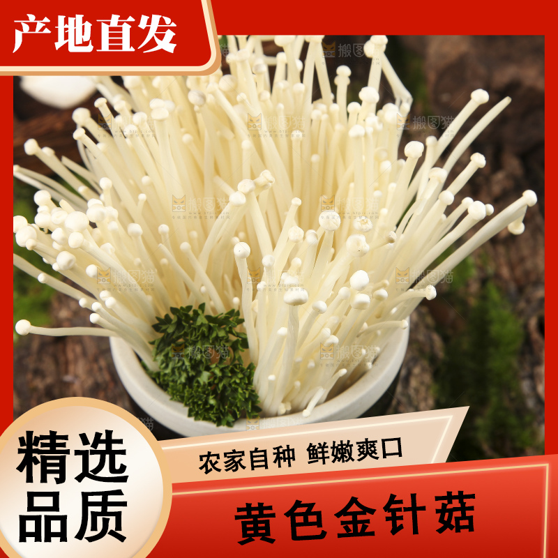 杯子里装着新鲜金针菇
