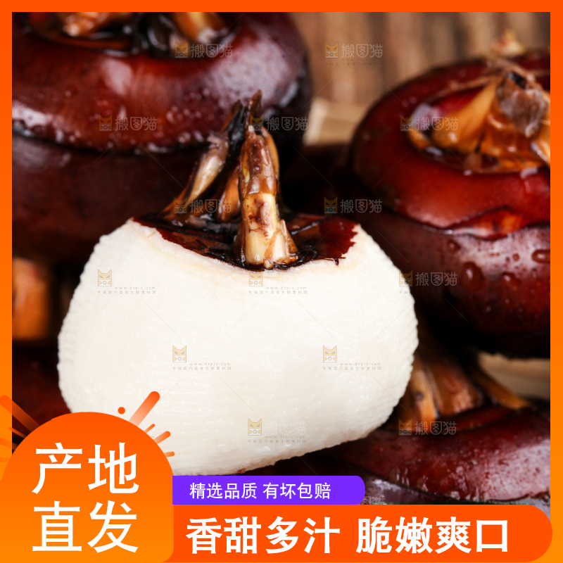 篮子里的红马蹄