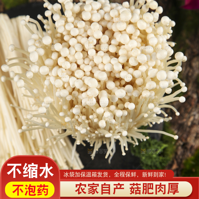 木底上的冬菇