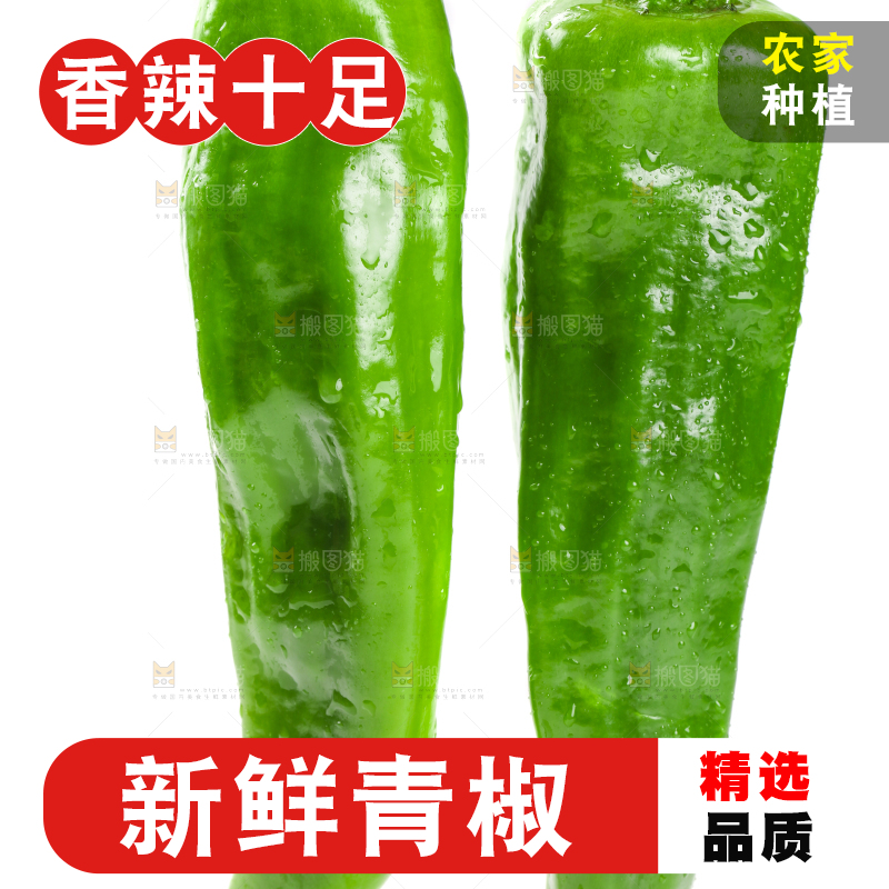 白底上摆放着农家青椒