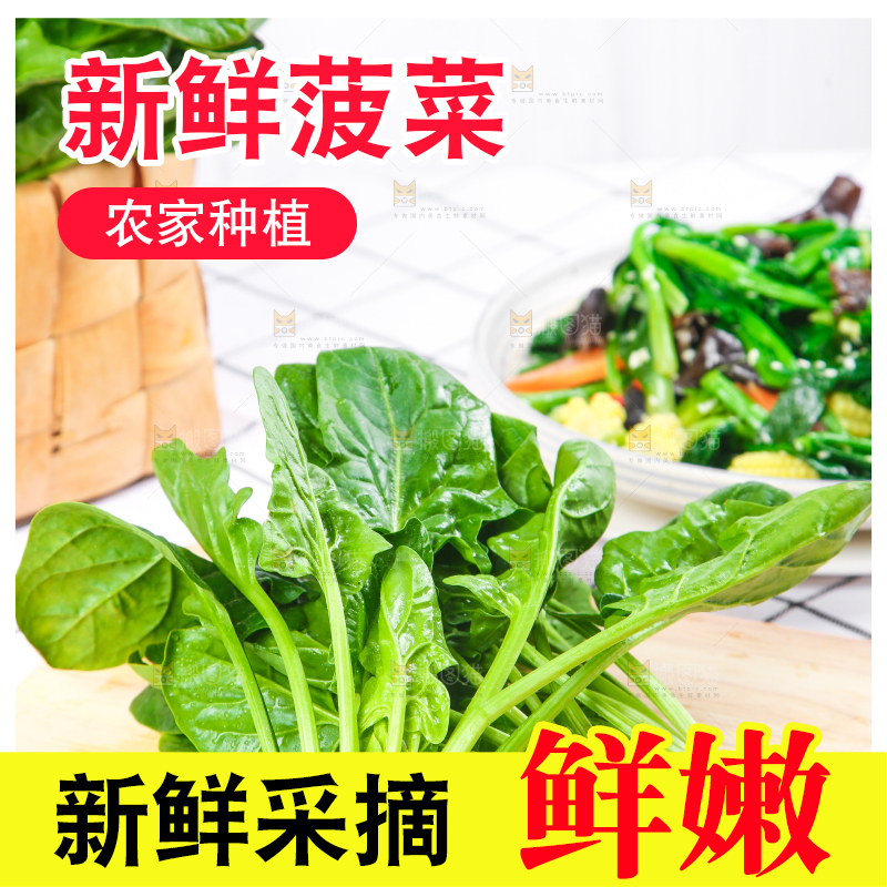 白格子底上的嫩菠菜
