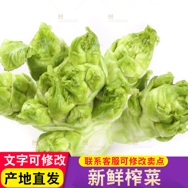 白底上的大头菜疙瘩