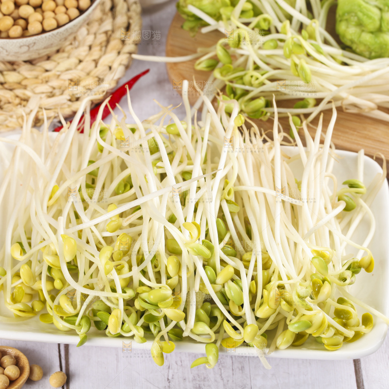 盘子里的豆芽