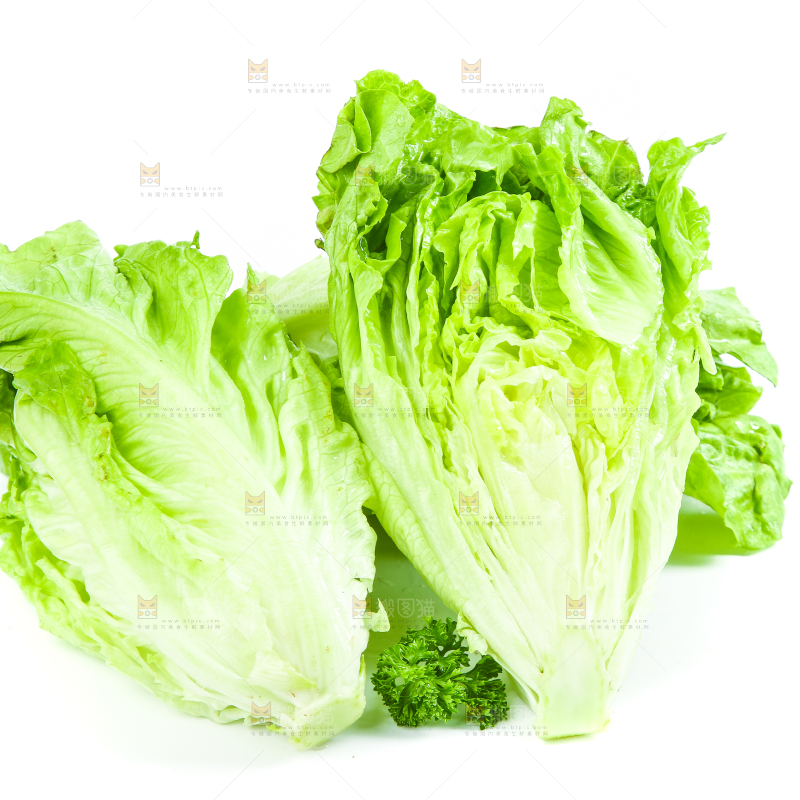 盘子里装着大叶生菜