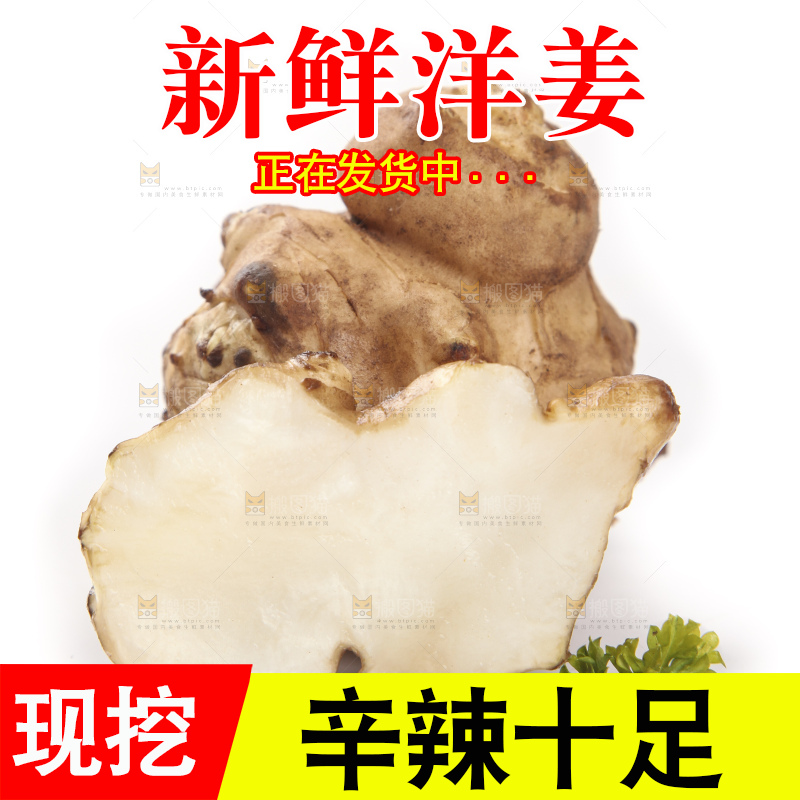 白底上摆放着新鲜洋姜