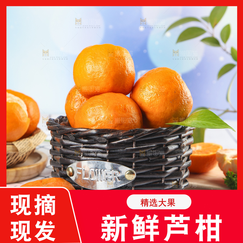 篮子里装着新鲜芦柑