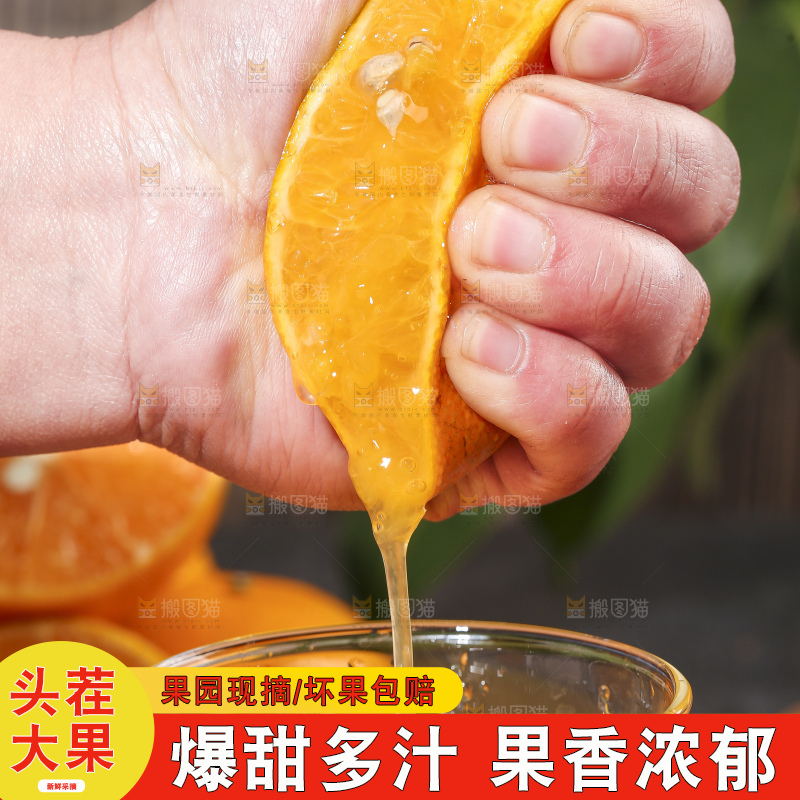 手拿皇帝柑