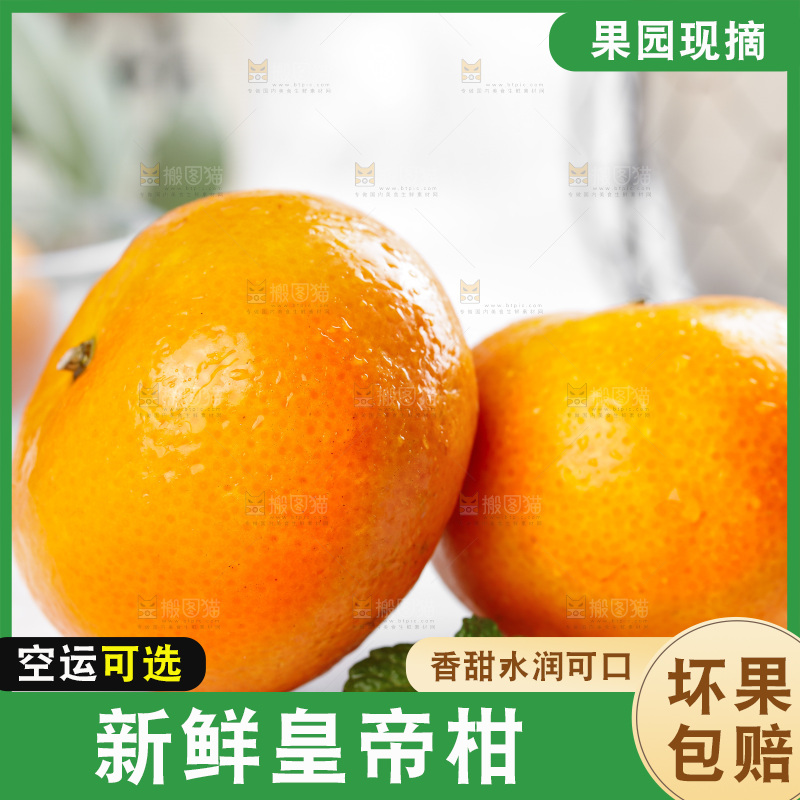 石板上的广西皇帝柑