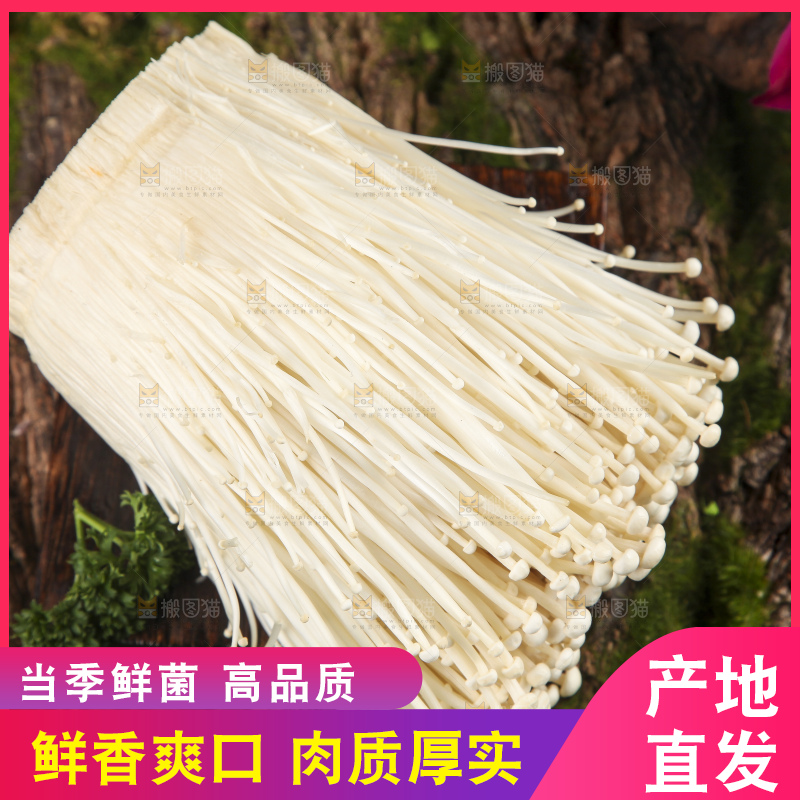 木底上的冬菇
