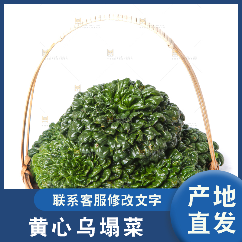 篮子里装着乌塌菜