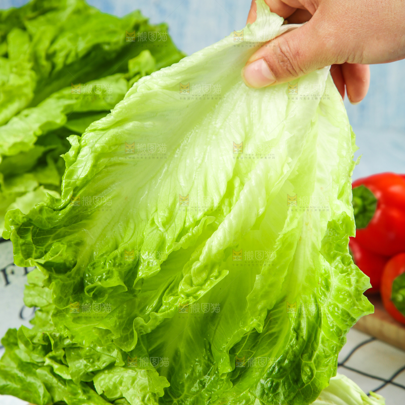 木板上放着新鲜生菜