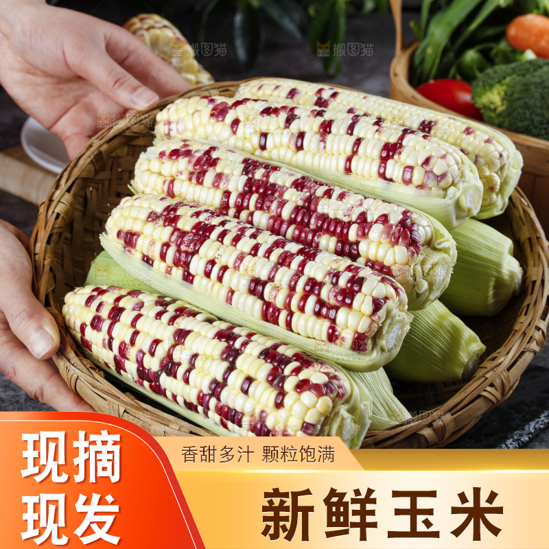 手拿一盘花糯玉米