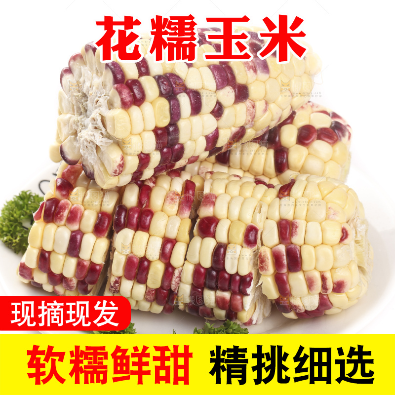 白底上放着一盘糯玉米