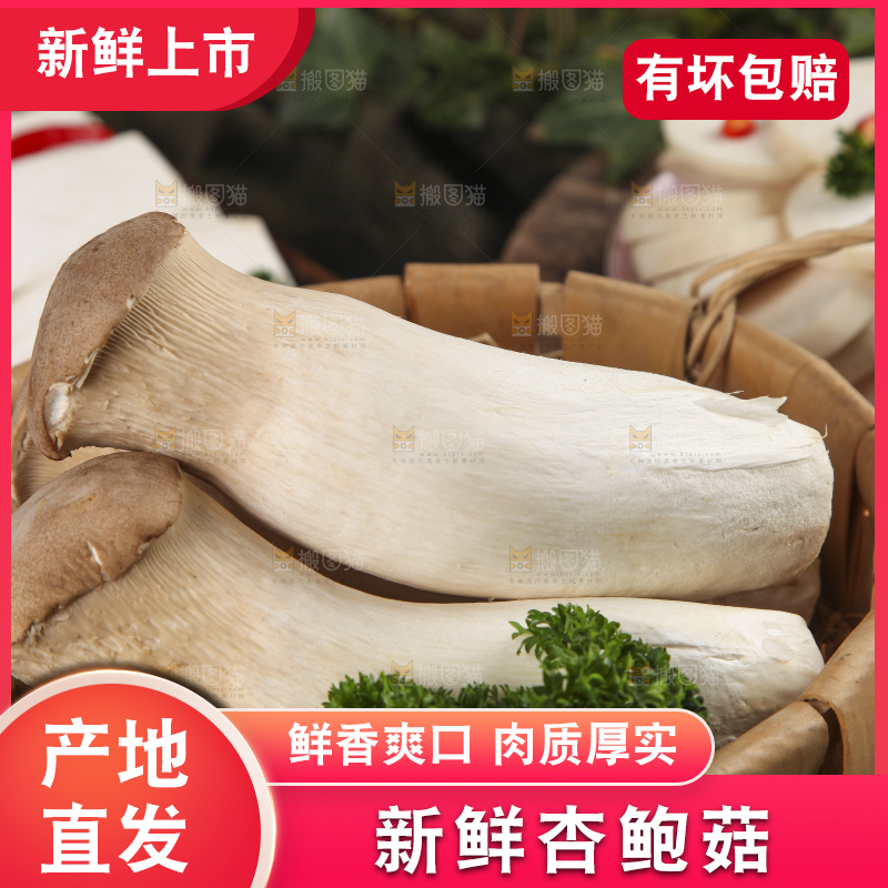 篮子里放着大鸡腿菇