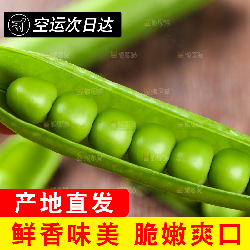 手拿新鲜豌豆