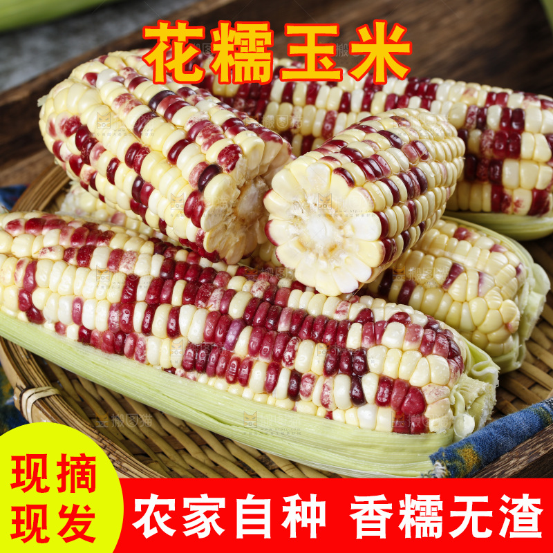 深底上放着一盘剥皮的糯玉米