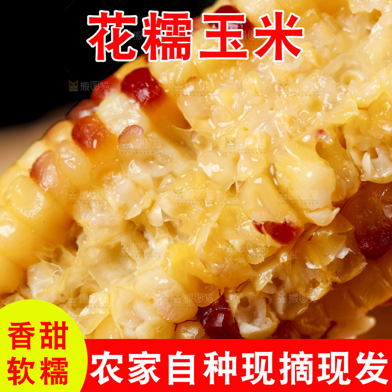 深底上的熟花糯玉米